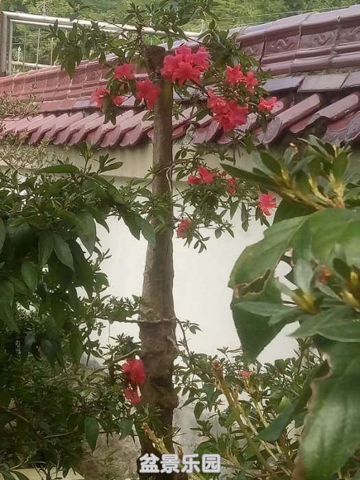 QQͼƬ20180927132342_.jpg