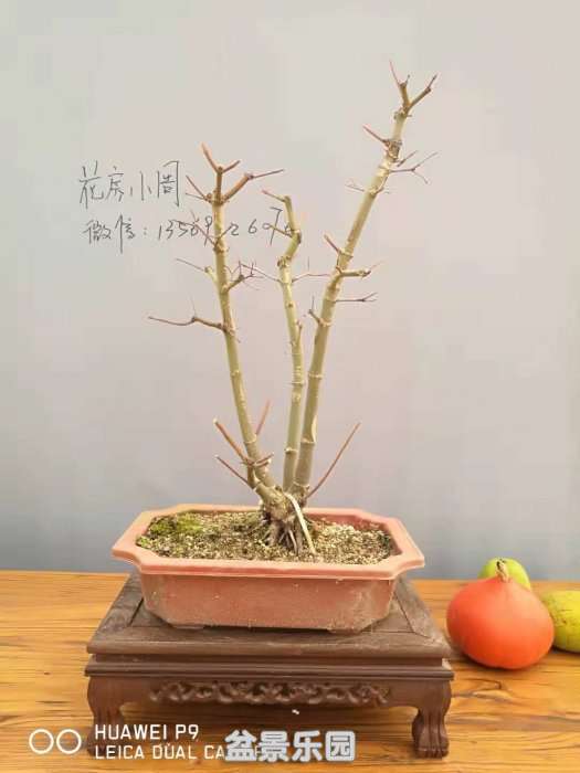 ΢ͼƬ_20181003195016.jpg