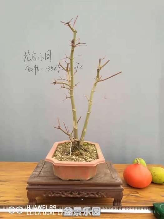 ΢ͼƬ_20181003195032.jpg