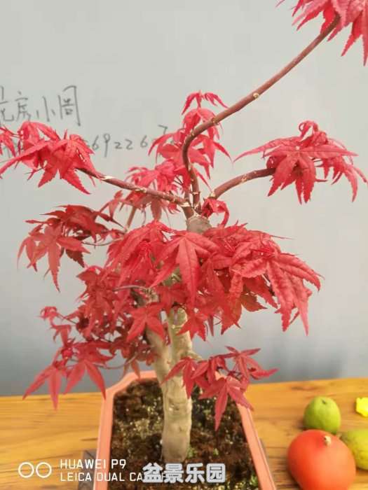 ΢ͼƬ_20181003195051.jpg