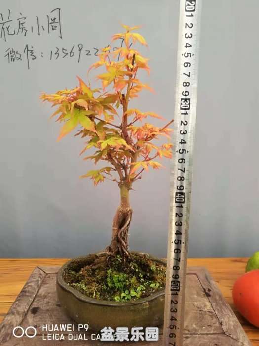 ΢ͼƬ_20181003195129.jpg