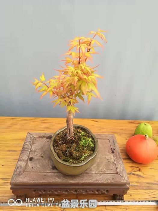΢ͼƬ_20181003195136.jpg