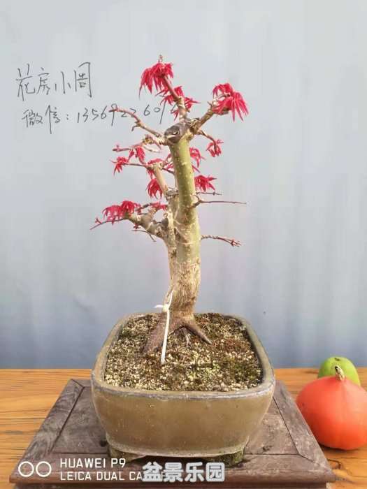 ΢ͼƬ_20181003195226.jpg