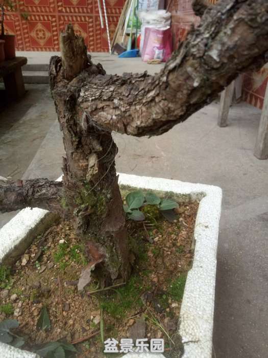 QQͼƬ20180927132526_.jpg