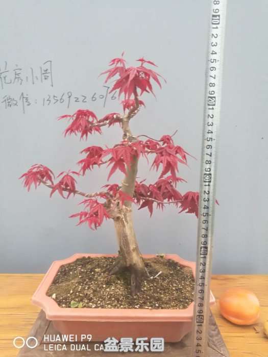 ΢ͼƬ_20181020202756.jpg