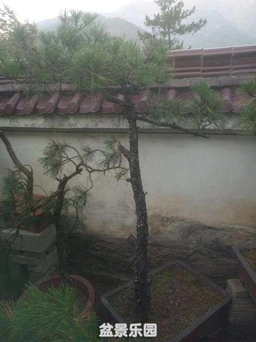 QQͼƬ20181014201703_.jpg