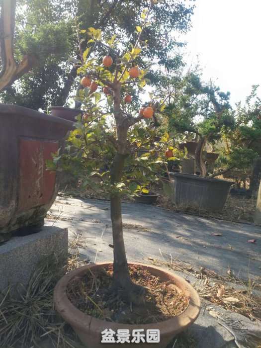 ΢ͼƬ_201811011531242.jpg