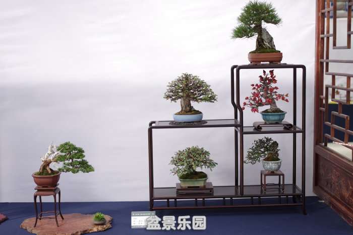 IMGP7355.JPG