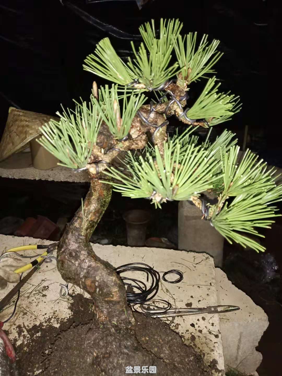 ����������