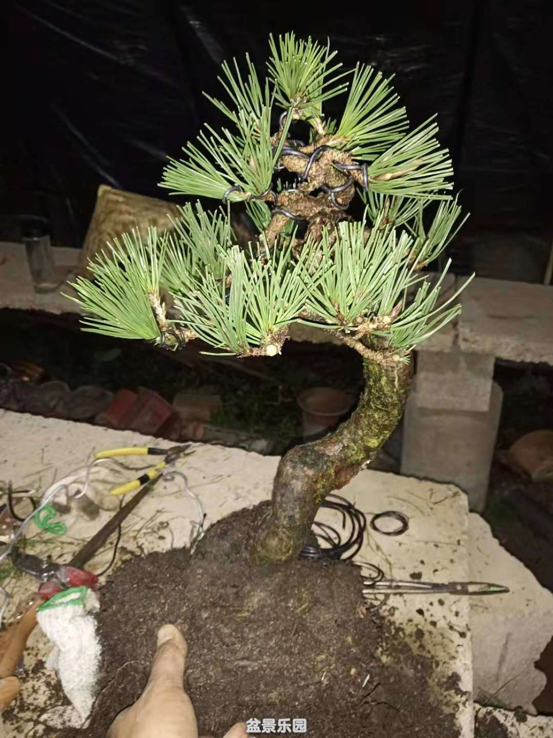 ��������