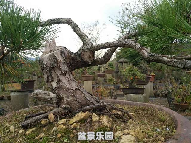 ΢ͼƬ_201811151030462.jpg