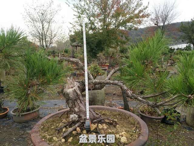 ΢ͼƬ_201811151030463.jpg