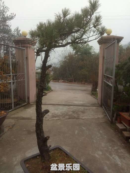 QQͼƬ20181209141543_.jpg