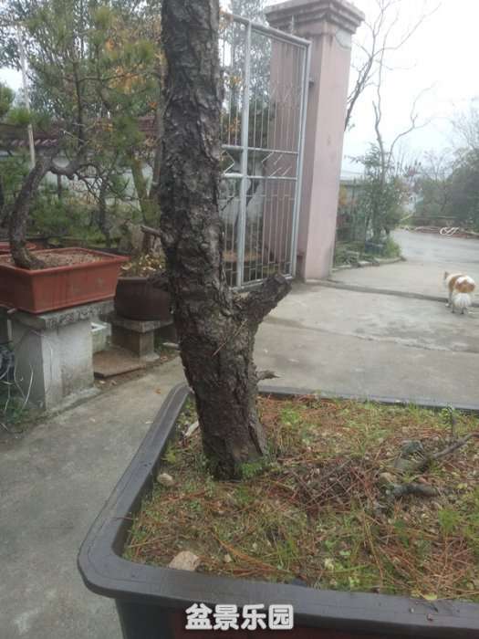 QQͼƬ20181209141554_.jpg