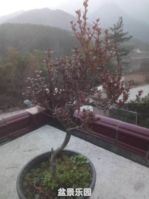 QQͼƬ20181218144612_.jpg