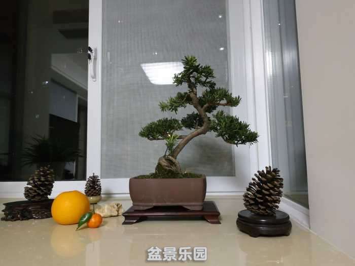 IMG_20190119_221953.jpg