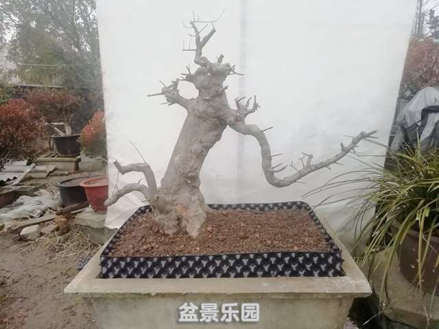΢ͼƬ_20190130092930.jpg