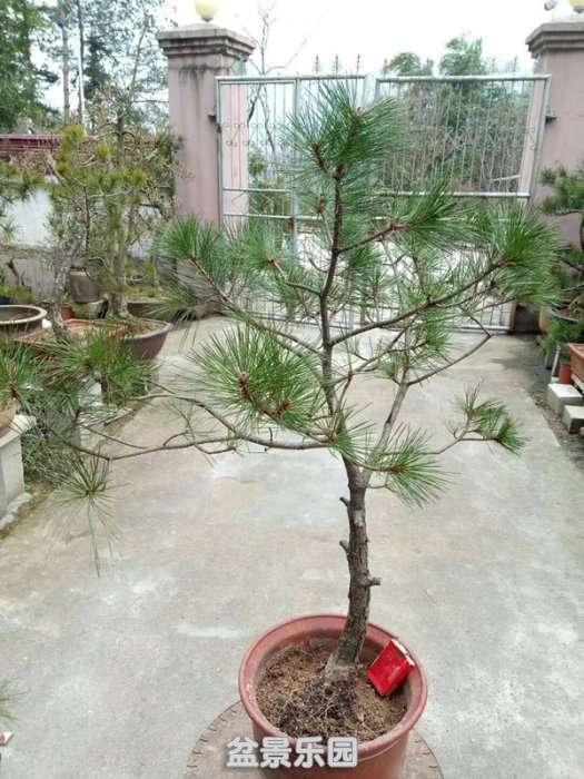 QQͼƬ20190119170546_.jpg