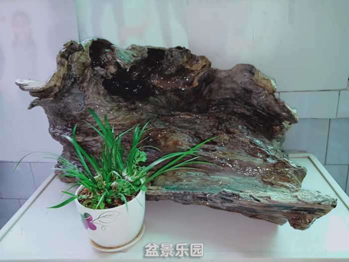 IMG20190227165340.jpg