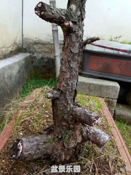 QQͼƬ20190226161720.jpg