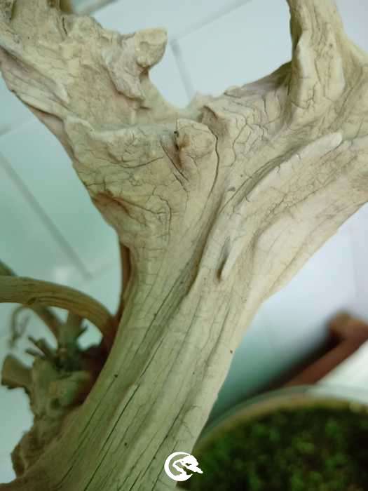 IMG20190320091900.jpg