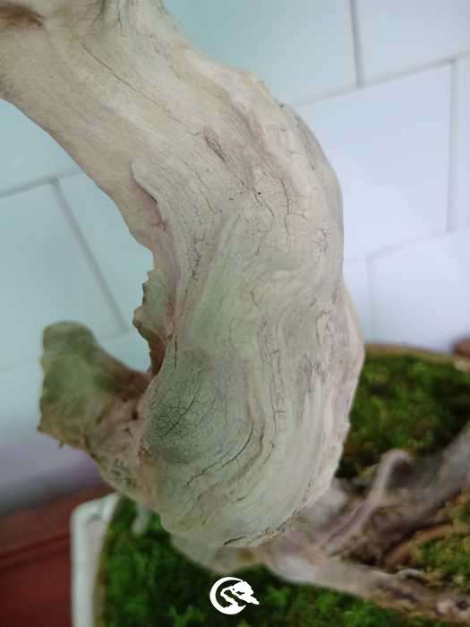 IMG20190320091908.jpg