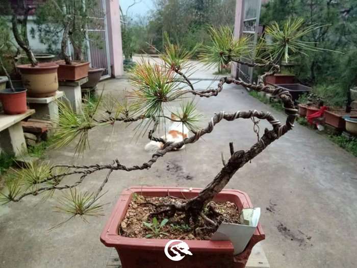QQͼƬ20190329131421_.jpg