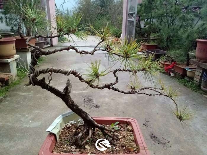 QQͼƬ20190329131430_.jpg