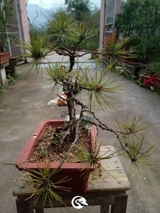 QQͼƬ20190329131445_.jpg