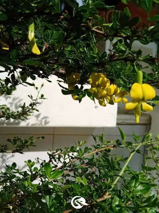IMG20190331090500.jpg
