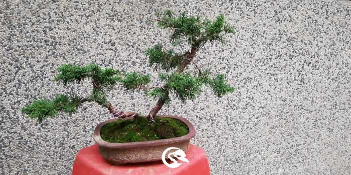 wx_camera_1555149885423.jpg
