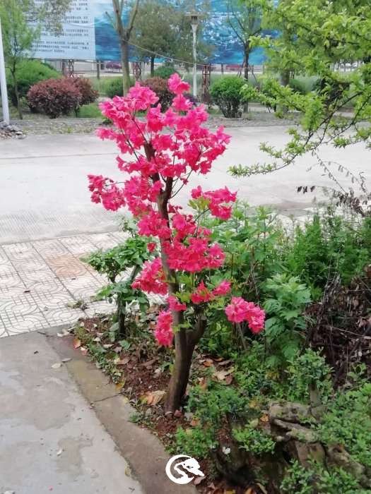 ΢ͼƬ_20190416163459.jpg