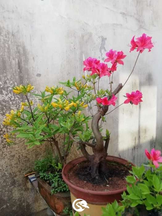 ΢ͼƬ_20190416163519.jpg