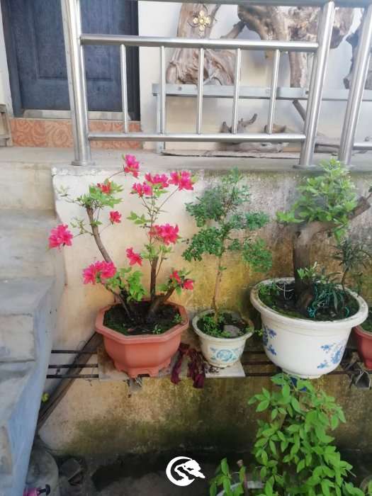 ΢ͼƬ_20190416163529.jpg