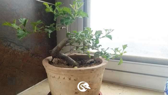 20190420_125938.jpg