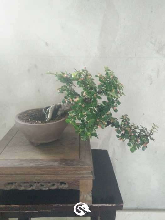 IMG20190428135403.jpg