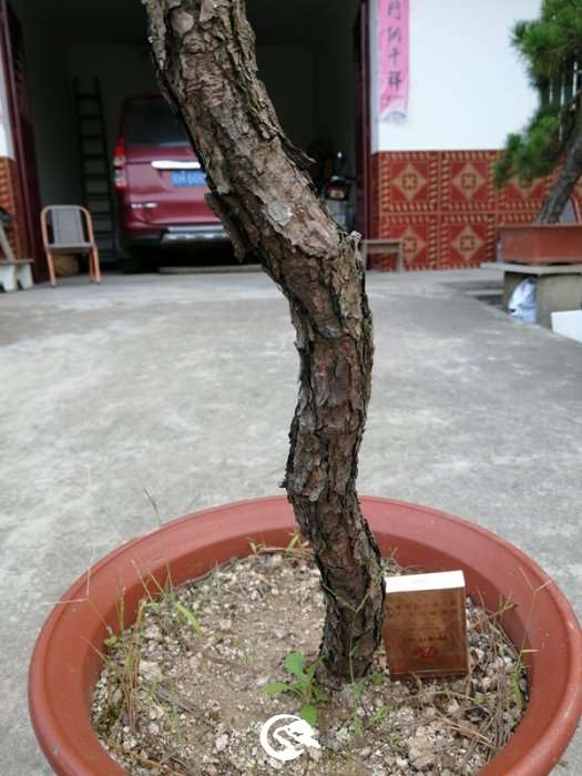 QQͼƬ20190917145057_.jpg