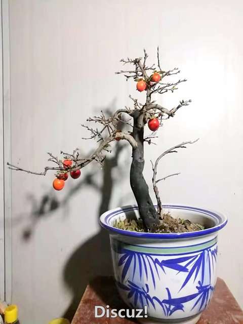 ΢ͼƬ_20191122091411.jpg