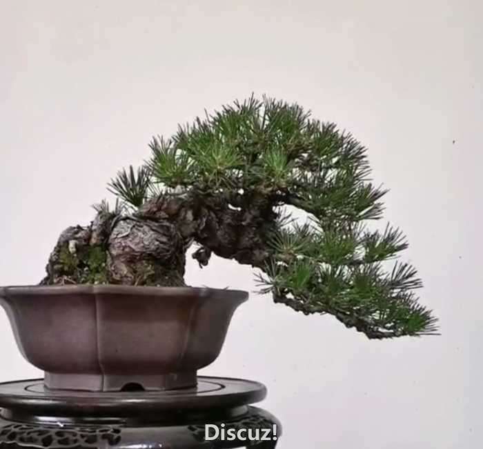Screenshot_20191230_185235_com.huawei.himovie_mh1577703205648.jpg