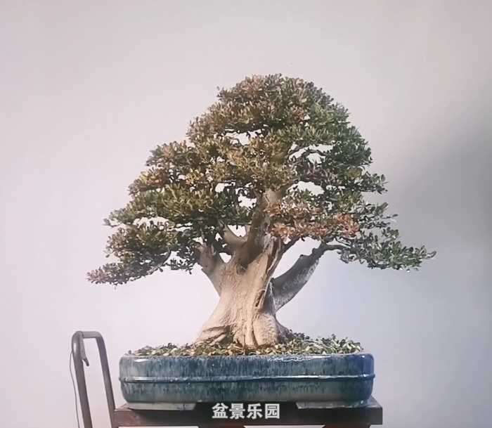 Screenshot_20201207_212623_com.huawei.himovie_mh1607347781732.jpg