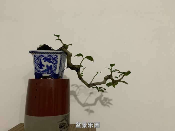 90375F6D-55F5-49A7-BF09-16DCD790EA20.jpeg