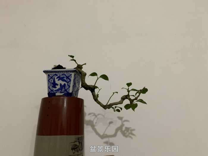 90375F6D-55F5-49A7-BF09-16DCD790EA20.jpeg