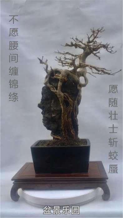 094212ijmsmcrccqcytrcm.jpg