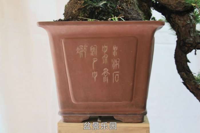 IMG_3744__.jpg