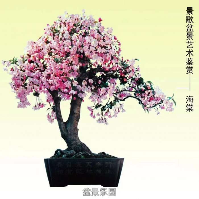 ʮ귢辰 1