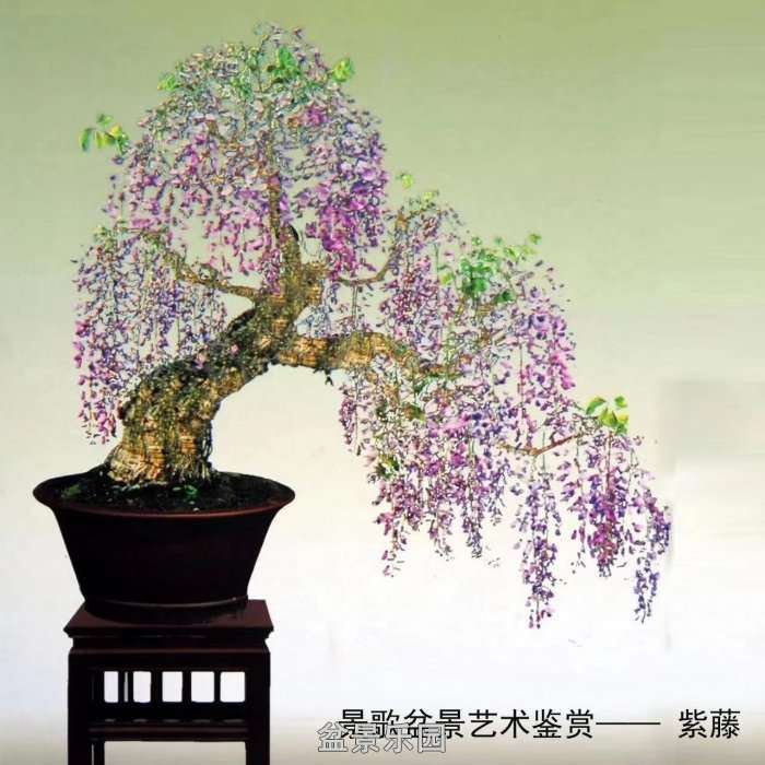 ʮ귢辰 2