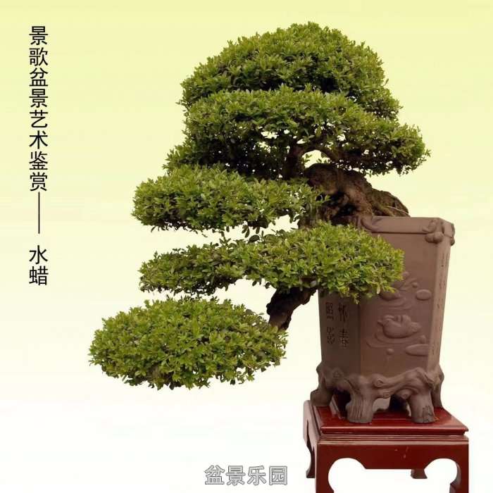 ʮ귢辰 5