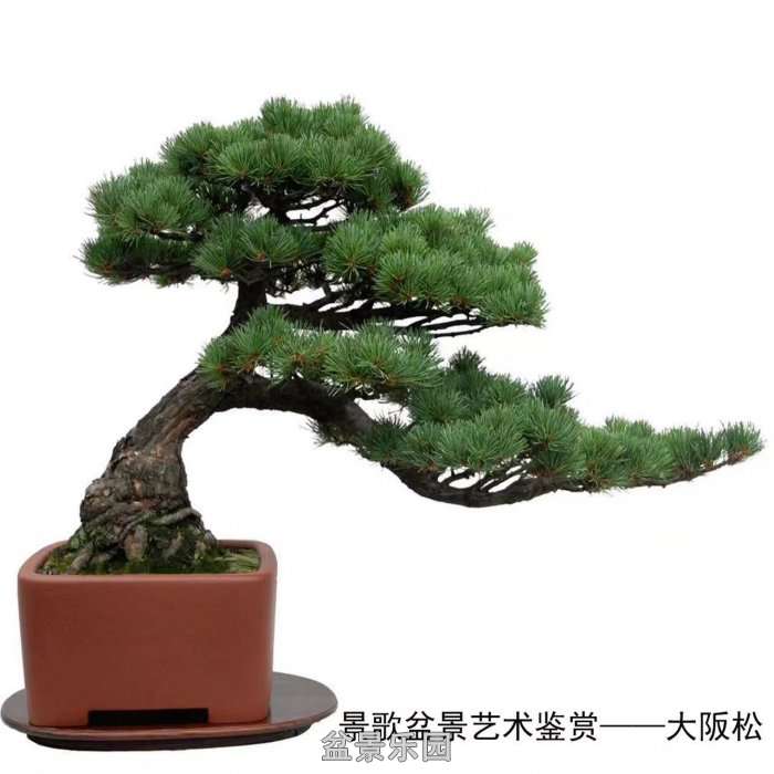 ʮ귢辰 7