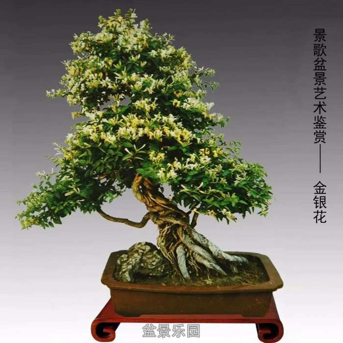 ʮ귢辰 9