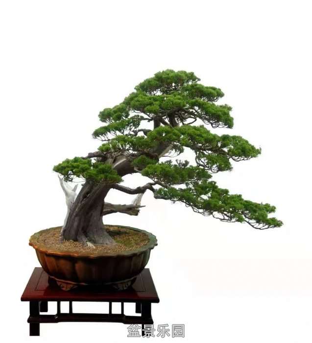 ʮ귢辰 10